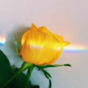 Meet your Posher, Kałiə